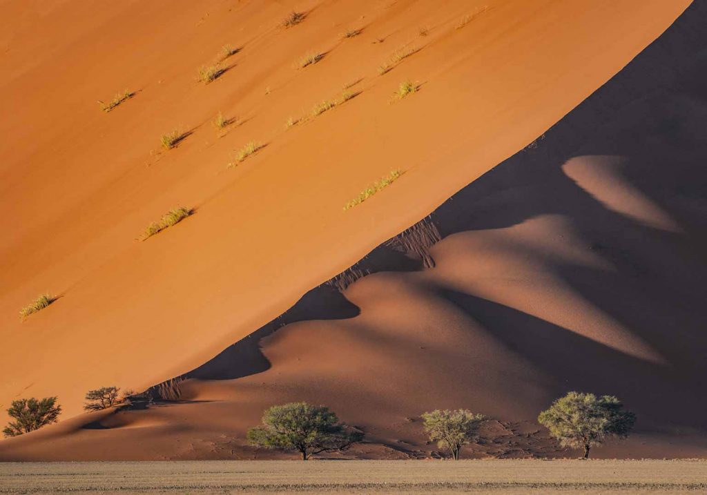 Sand Dune 43 - Susan Quinn